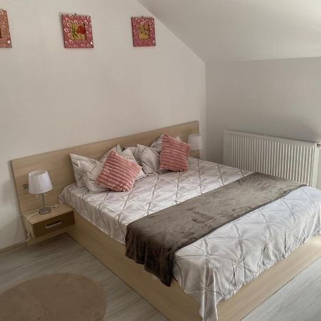 Rebeca Apartament Lugoj Exterior photo